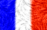 Bandiera Francese
