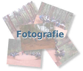 Fotografie
