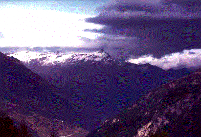 Monti1.gif (37672 byte)
