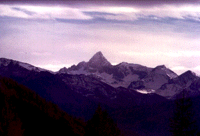 Monti2.gif (32613 byte)