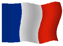 La bandiera francese