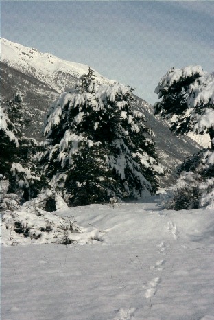 La neve...