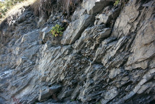 Roccia scistosa