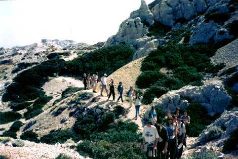Voici l'le! Premire promenade entre les calcaires et la vgtation