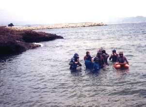 On commence le snorkelling